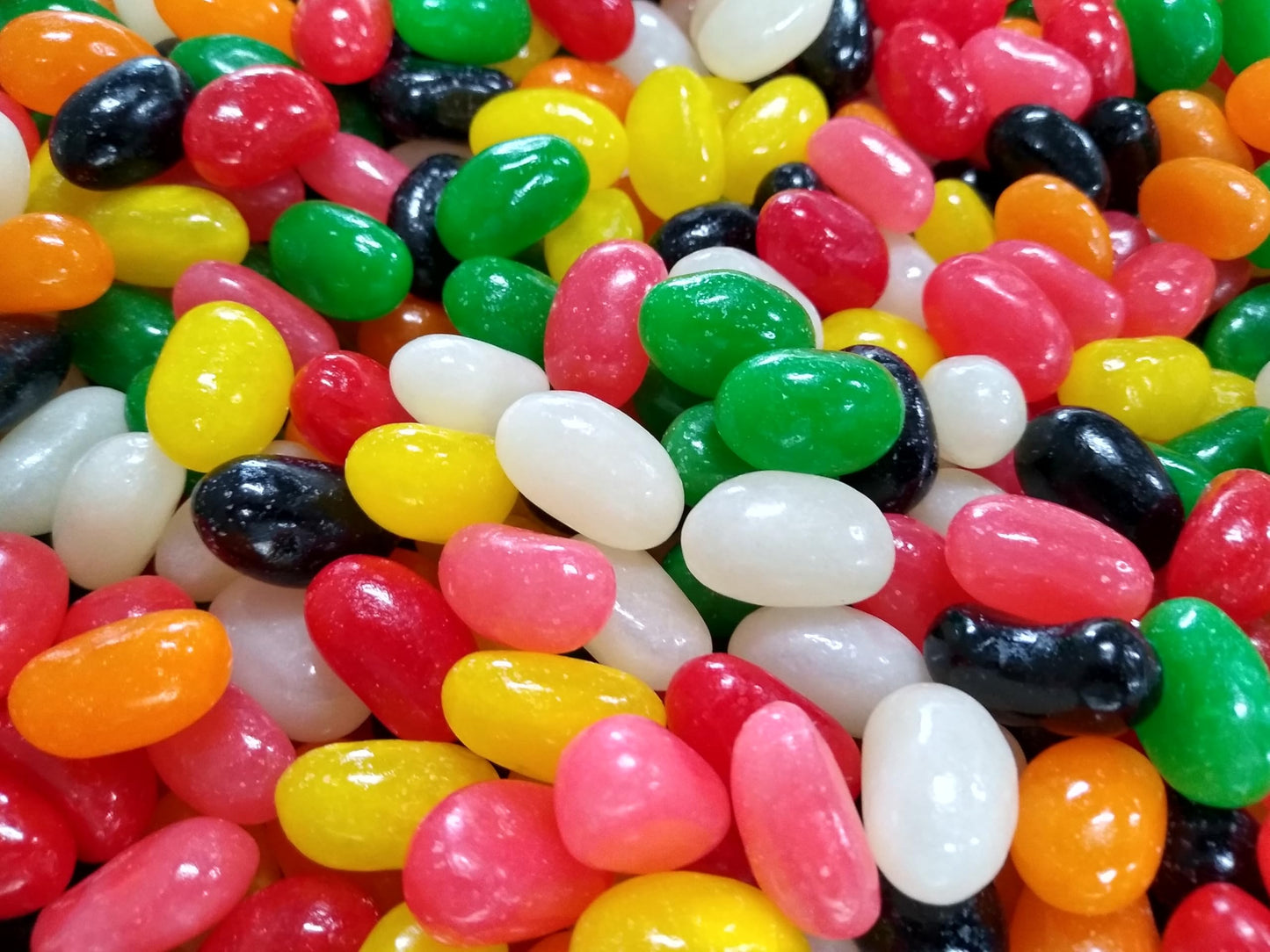 Jumbo Assorted Spiced Jelly Beans - 1 lb of Fresh Delicious Extra Large Licorice Sassafras Peppermint Clove Cinnamon Spearmint J