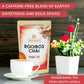 BREWIX Rooibos Chai Tea Bags, Caffeine-Free Herbal Tea, 25 Pyramid Bags