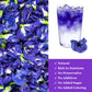 SXETBEAN Butterfly Pea Flower Powder, 3.5oz Blue Food Coloring for Cocktails, Smoothies, Baking