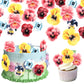 Rsstarxi Edible Flowers Cupcake Topper - 60 Pack Wafer Paper Decorations for Baby Shower, Wedding, Birthday Party - Design 5