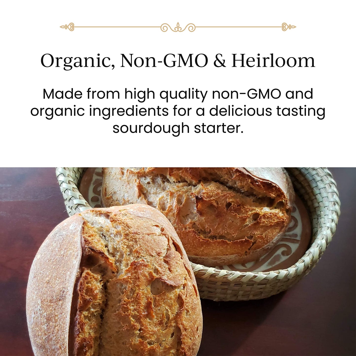 Breadtopia Live Sourdough Starter | Organic Non-GMO | Active, Ready to Use | 1.23 Ounce