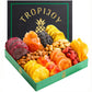 TropiJoy Dried Fruit Basket Gift - 20oz Soft Dry Fruits, 11 Tropical Flavors, Perfect for Thanksgiving and Christmas Gifts