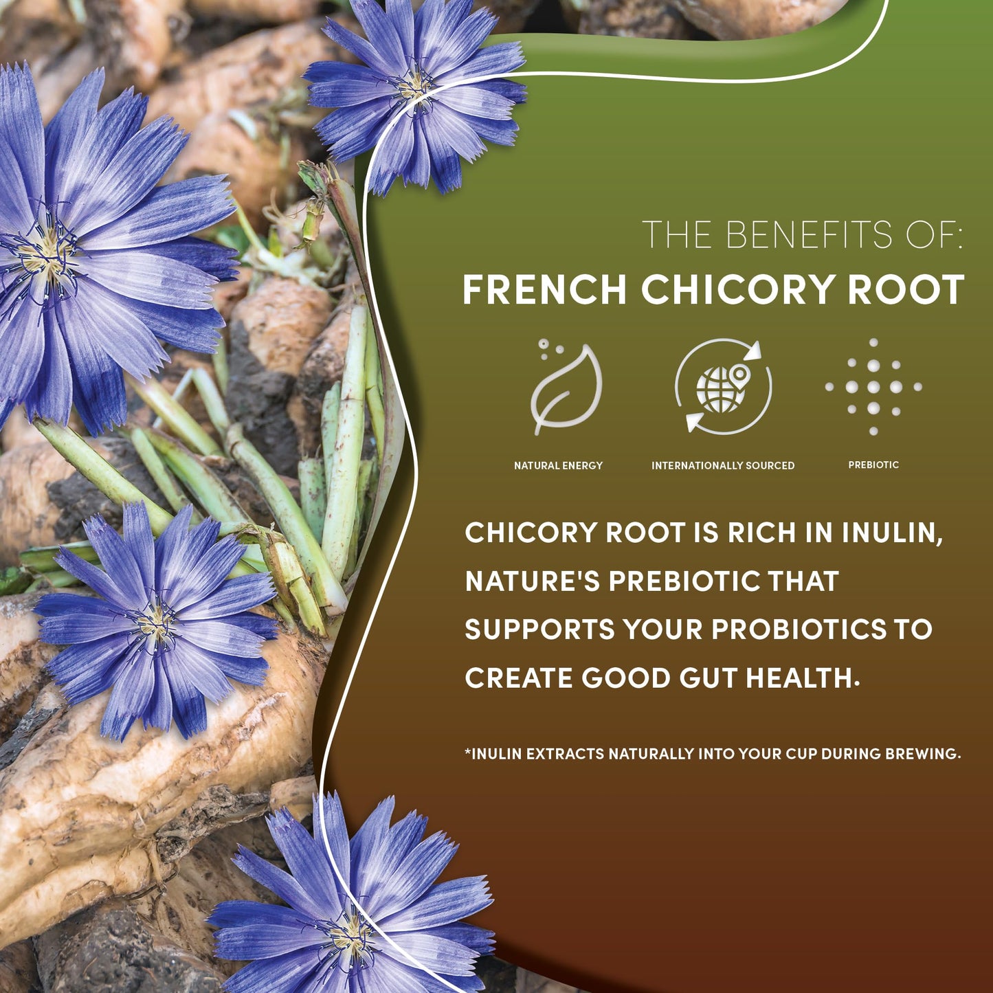 Teeccino French Roast Herbal Coffee - Caffeine-Free, Acid-Free, 11 Ounce (Pack of 6)