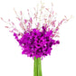 KaBloom Purple Dendrobium Orchid Bouquet - 20 Exotic Flowers - Gift for Birthday, Sympathy, Anniversary - Model KADF1175-V999-A999