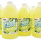 SNAPPY Margarita Slushie Mix, 64 Fl Oz (Pack of 6), Yellow, Slushie Syrups for Cocktails and Granita Drinks