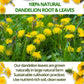 VIDA FARM Dandelion Tea Bags - 100% Natural Herbal Tea, Sugar Free, Caffeine Free - 100 Count