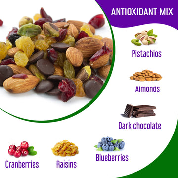 Mix And Go Single Serve Trail Mix Snack Packs, Healthy Snack Bag, Antioxidant Mix Fruit & Nut By Klein'S Naturals, Contains 16 P