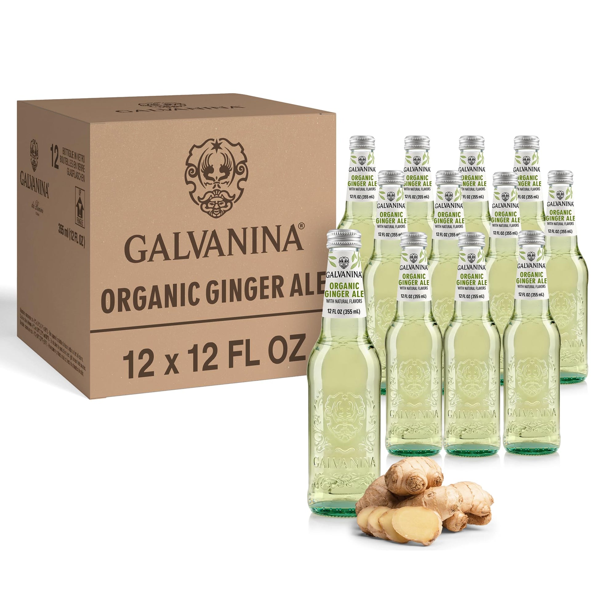 Galvanina - Flavor Blendger Ale - Top-Grade Organic Italian Sparkling Fruit Beverage - 12 Fl Oz (Pack Of 12)