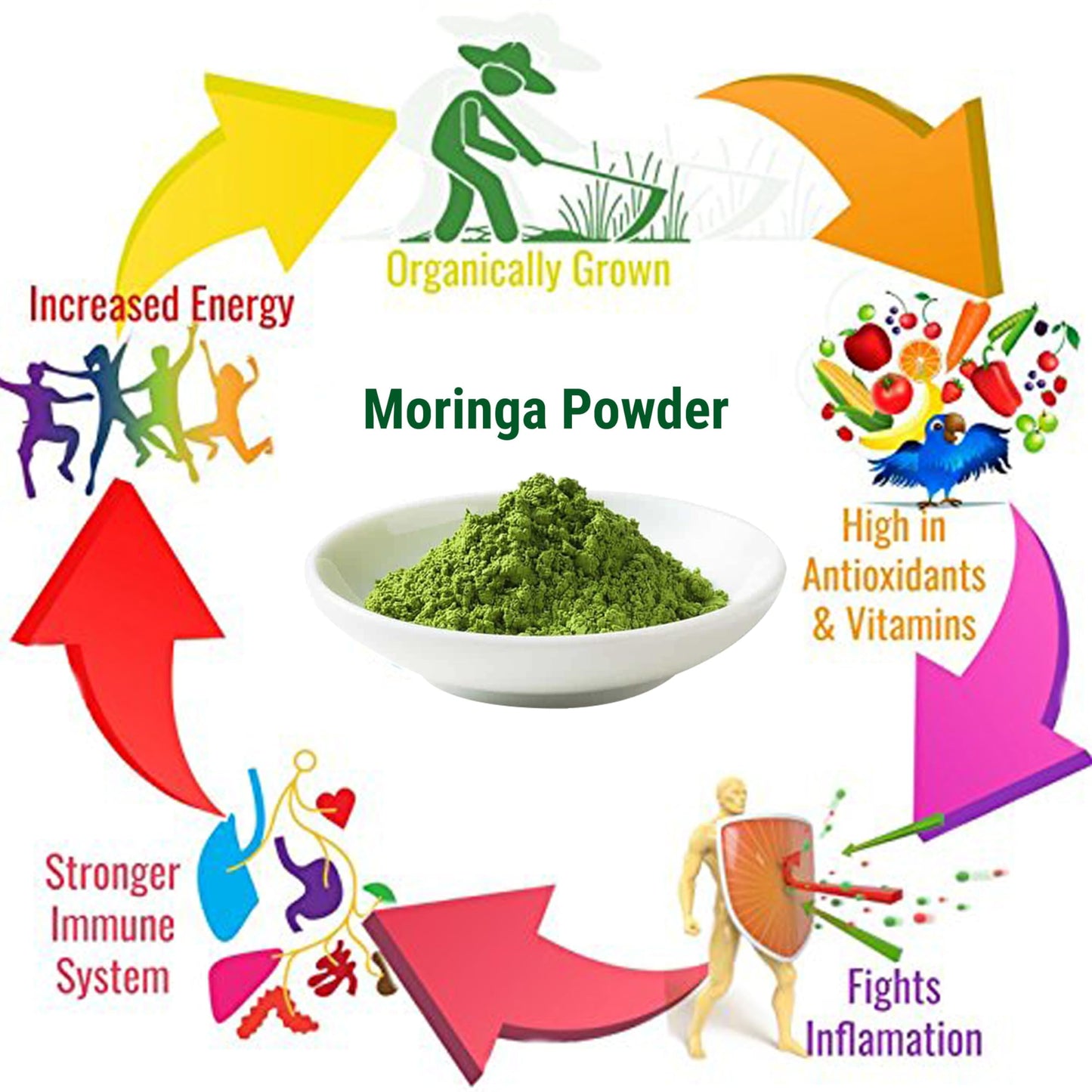 MOGO Organic Moringa Powder, Antioxidant Rich Superfood, 16 Ounce