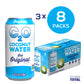 C2O - Coconut Water, The Original Flavor (24 Pack, 3 Boxes Of 8) - Made With Fresh Coconut Water - Plant Based, Non Gmo Canned Water - Natural Hydration, Electrolytes & Potassium - 24 Cans, 10.5 Fl Oz