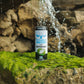 C2O Pure Coconut Water With Espresso | Plant Based | Non-Gmo | Dairy Free | Essential Electrolytes | 17.5 Fl Oz (Pack Of 12)