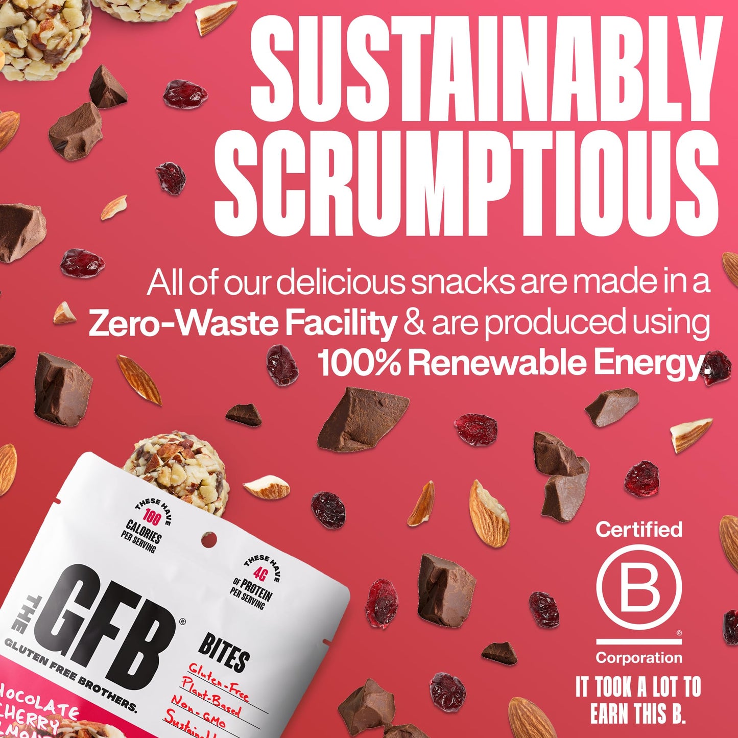 The Gluten Free Brothers Chocolate Cherry Almond Bites - Gluten Free Protein Balls - Non Gmo, Soy Free, Vegan - Snack Size Plant