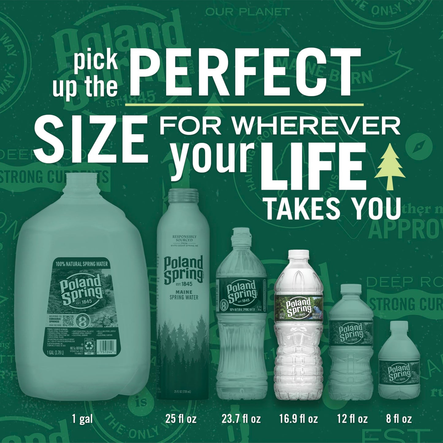 Poland Spring Maine Spring Water Bottles, 12 Pack - Crisp, Still Bottled Water with Naturally Balanced Occurring Minerals & Elec