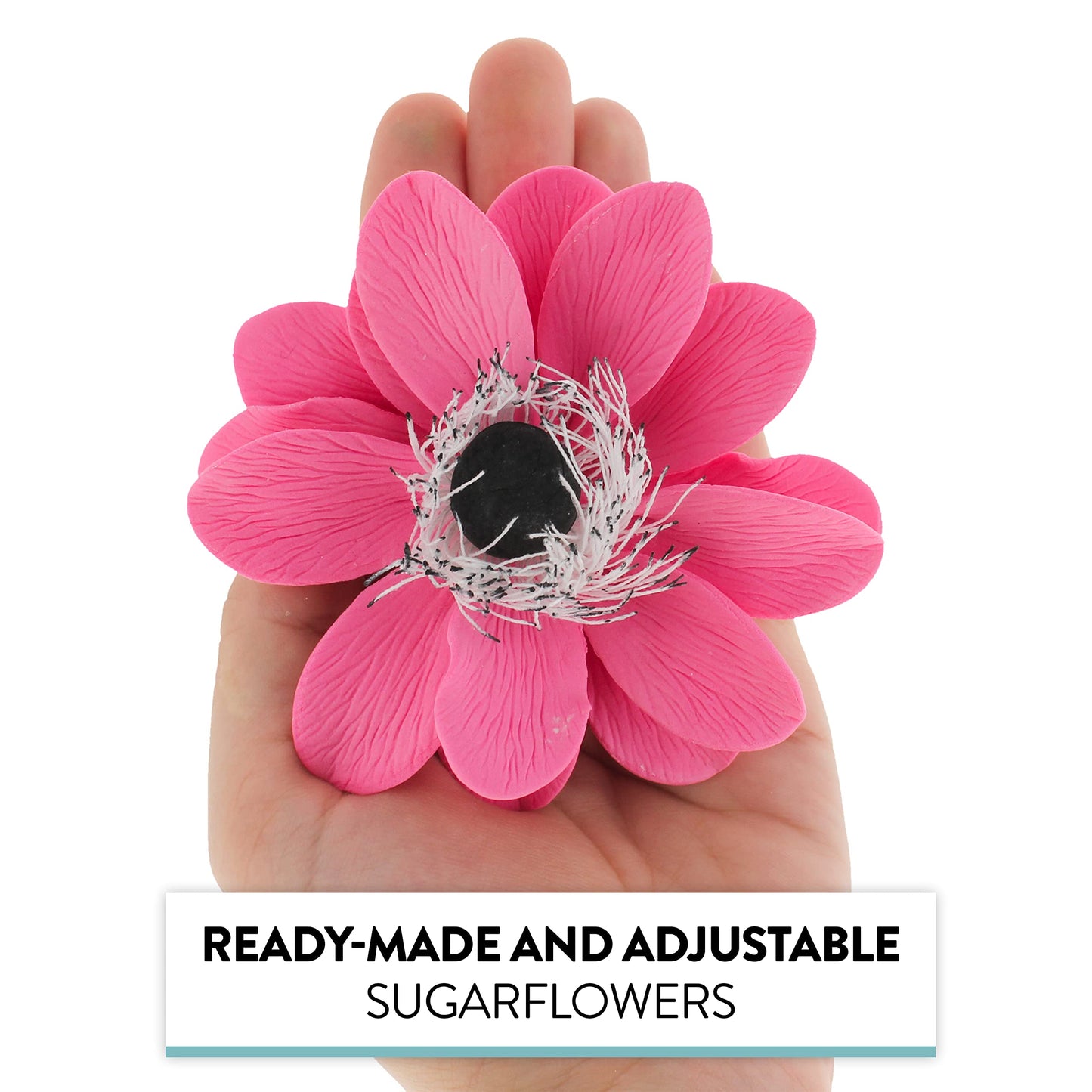 Global Sugar Art Double Anemone Sugar Cake Flowers Pink, 3 Count By Chef Alan Tetreault