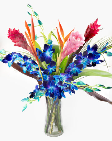 Fresh Orchids and Tropical Flower Bouquet, Perfect for Birthdays, Easter, Mother 's Day, Anniversaries, Gifts, etc. (Multicolor 