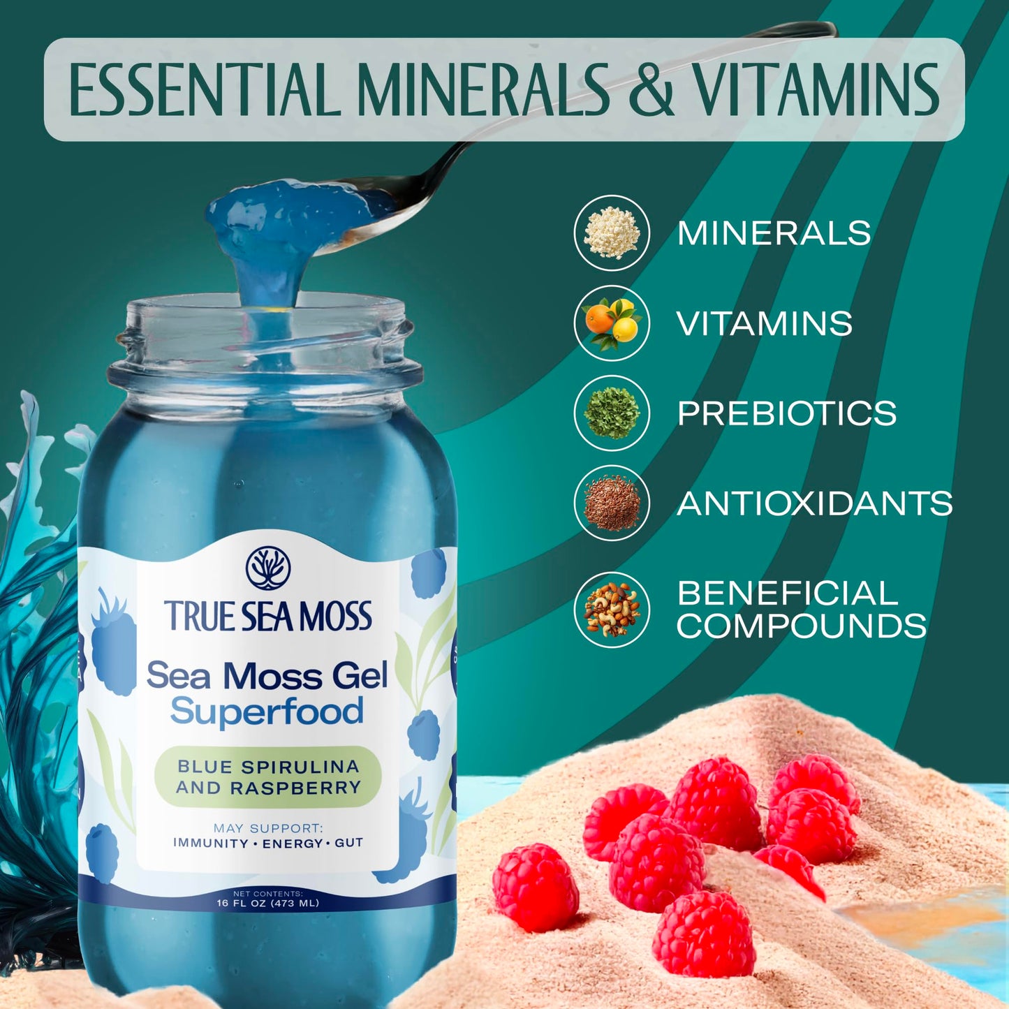 TrueSeaMoss Sea Moss Gel - Made in USA - Wildcrafted Seamoss, Fruits & Jarred Vegetables - Blue Spirulina, Pack of 2 (Labels may