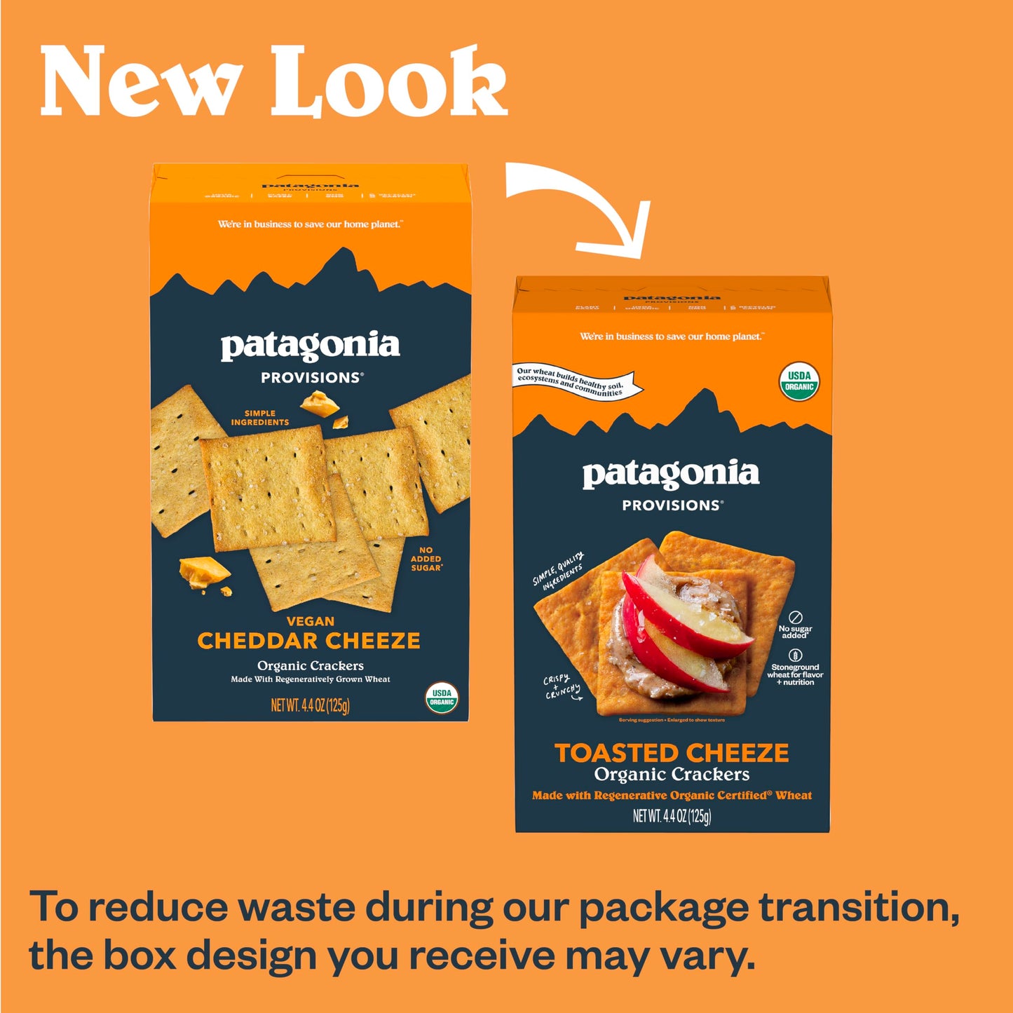 Patagonia Provisions Organic Toasted Cheeze  ers - 3g Plant Protein, Non-GMO, 4.4 Ounce (Pack of 3)