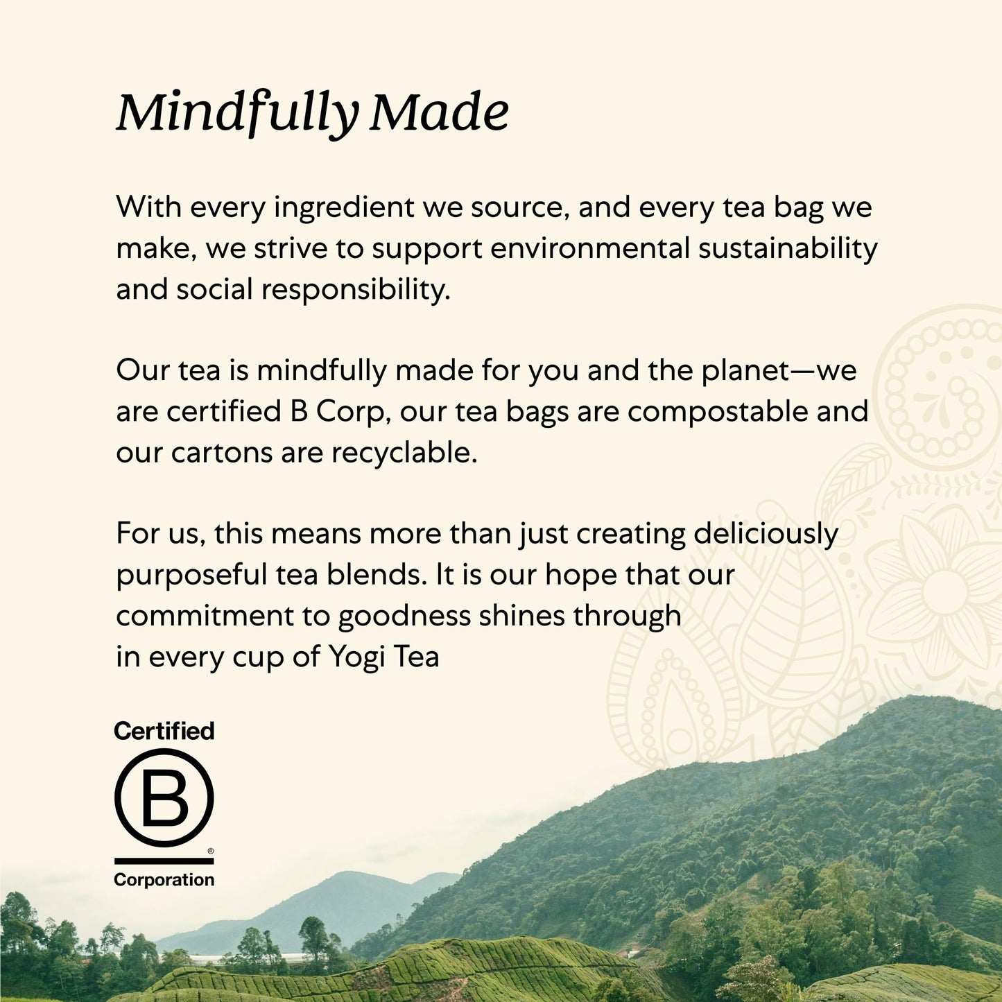 Yogi Tea DeTox Tea - 16 Tea Bags per Pack (6 Packs) - Organic Detox Tea for Digestive & Circulation Support - Includes Burdock,