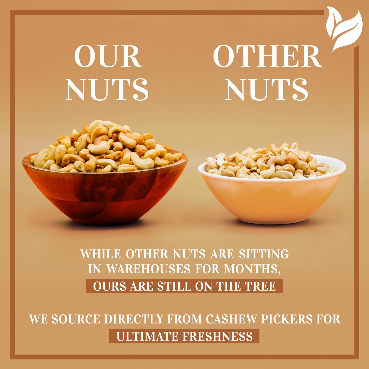 Oven Dry Roasted Fancy Cashews with Sea Salt-32 oz (2 lbs)|Whole Cashew|No Oil|No PPO|Vegan and Keto Friendly|Made from Natural