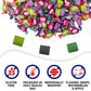 Dubble Bubble Assorted Fruit Flavor Gum - 1 Pound Bulk Bag of 3 Flavor Individually Wrapped Bubble Gum - G  Watermelon  Apple - Chewing Bubble Gum Holiday Candy(Approx. 70 Pieces)