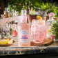 Fentimans Sparkling Rose Lemonade - Sparkling Pink Lemonade With Natural Ingredients & Pure Rose Extract, Mixer, Craft Soda, Botanically Brewed Lemonade - 9.3 Fl Oz (Pack Of 24)