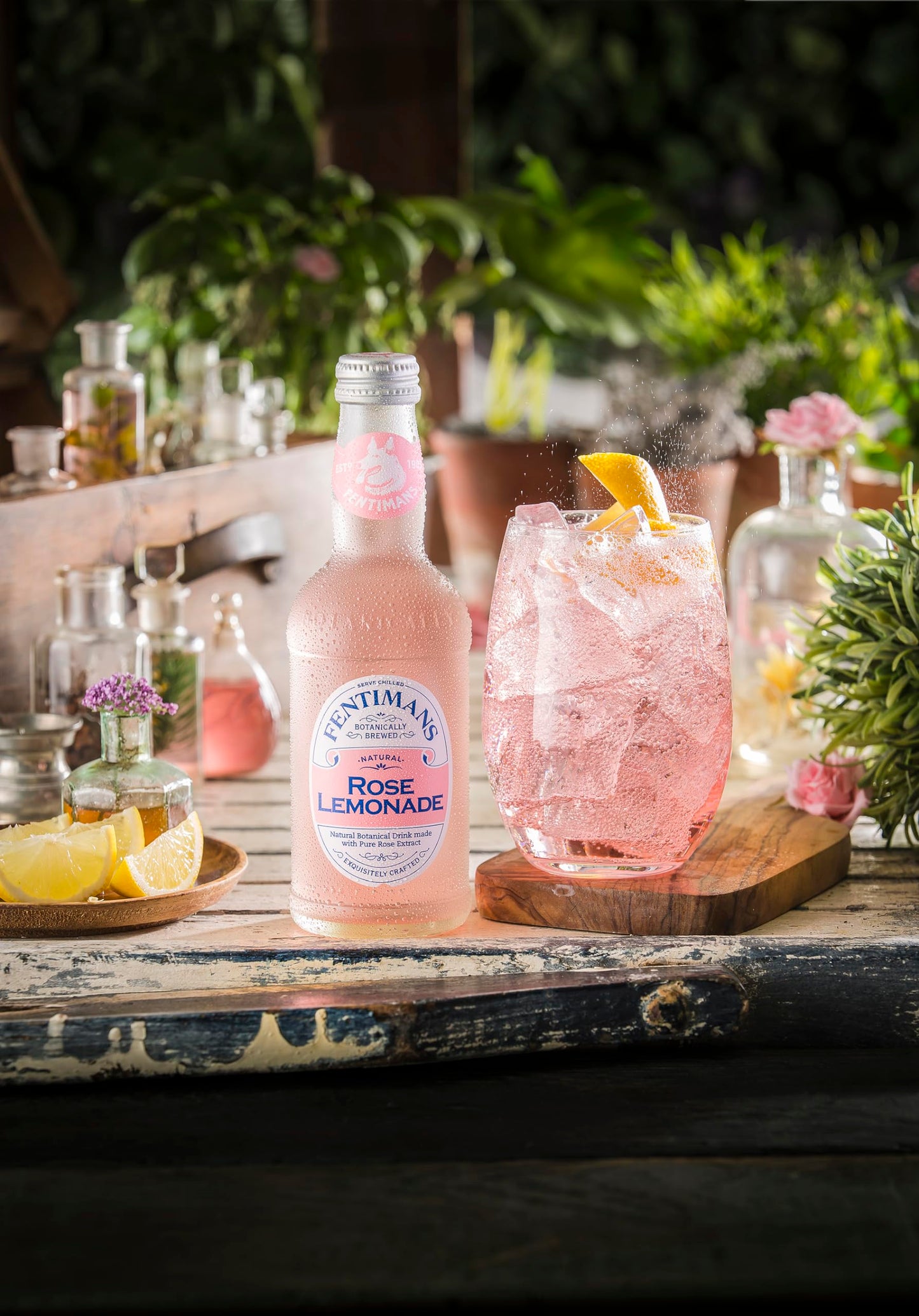 Fentimans Sparkling Rose Lemonade - Sparkling Pink Lemonade With Natural Ingredients & Pure Rose Extract, Mixer, Craft Soda, Botanically Brewed Lemonade - 9.3 Fl Oz (Pack Of 24)