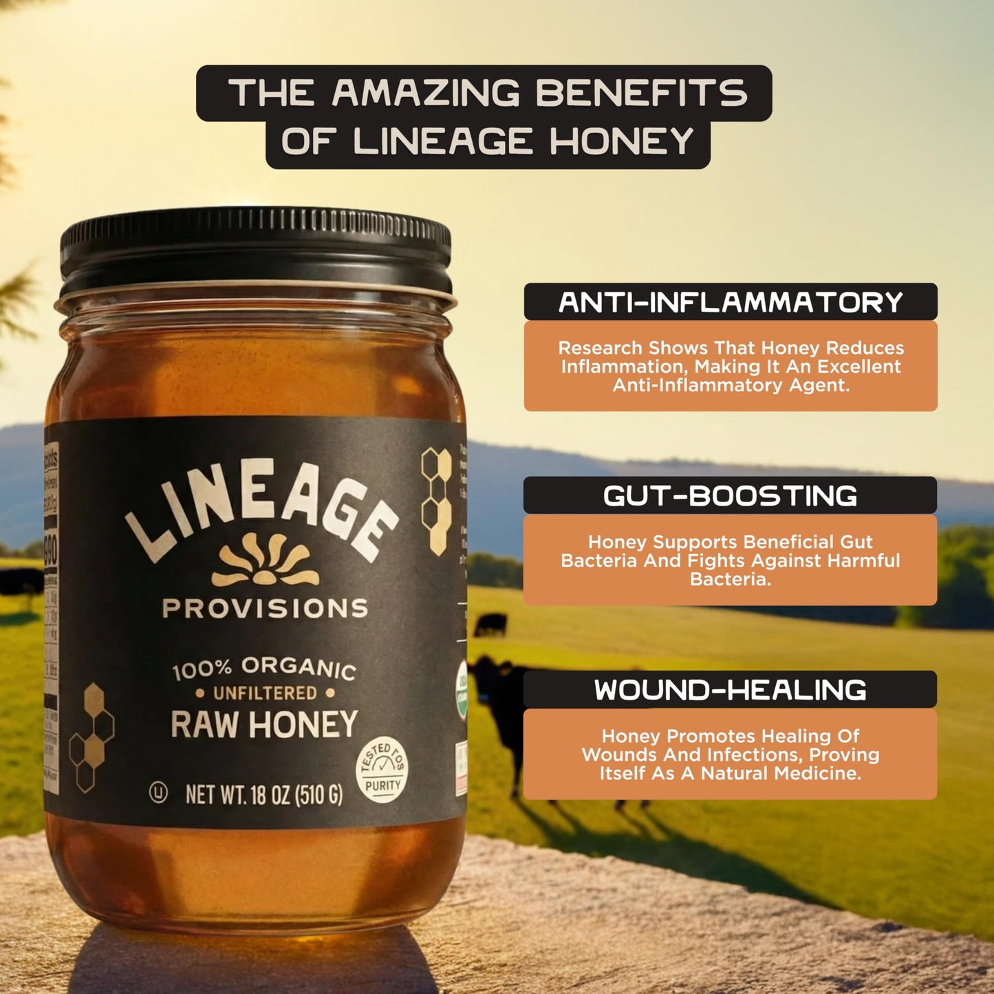 Lineage Provisions 100% Organic Raw Unfiltered Honey - 3-Pack (18 oz Glass Jars) - Undetectable Glyphosate, Chemical-Free, Glute