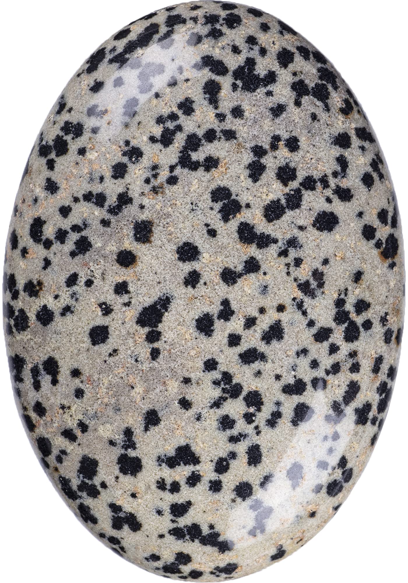 Ufeel Dalmation Jasper Palm Stone Crystal - Natural Chakra Therapy Polished Healing Crystal Oval Pocket Gemstone For Anxiety Str