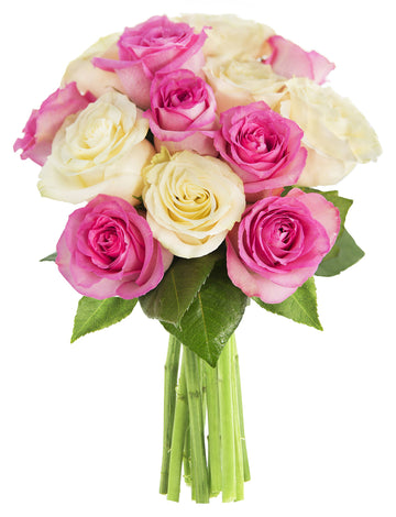KaBloom Flowers - Bouquet of 12 Soft Pink and White Roses without vase.Gift for Birthday, Get Well, Thank You, Valentine, Mother