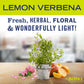 Mrs Meyers Clean Day All-Purpose Cleaner Spray, Lemon Verbena, 16 Fl Oz