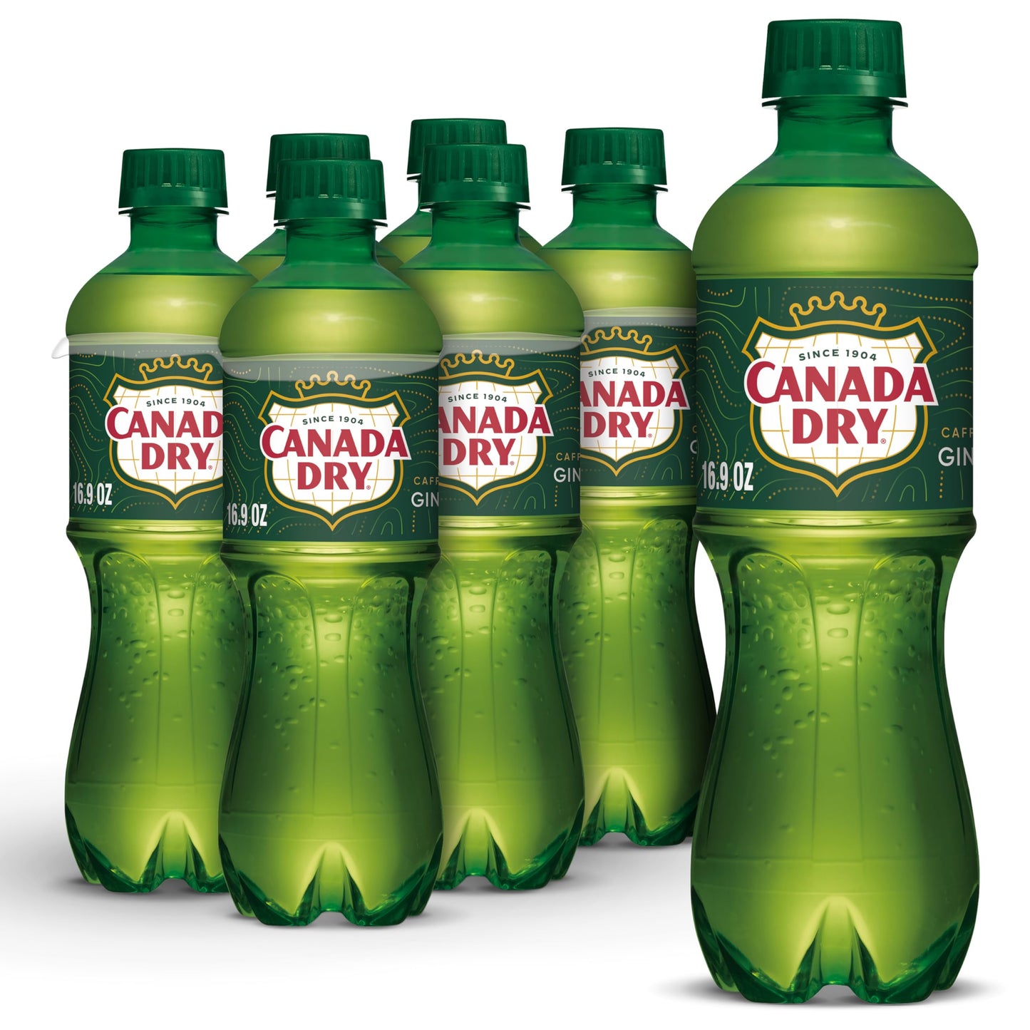 Canada Dry Ginger Ale Soda  .5 L bottles  6 pack