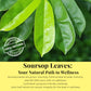 Akshit Dried Soursop Leaves, Whole Graviola Leaves, Non-GMO, Caffeine-Free Tea, 2.6 Ounce