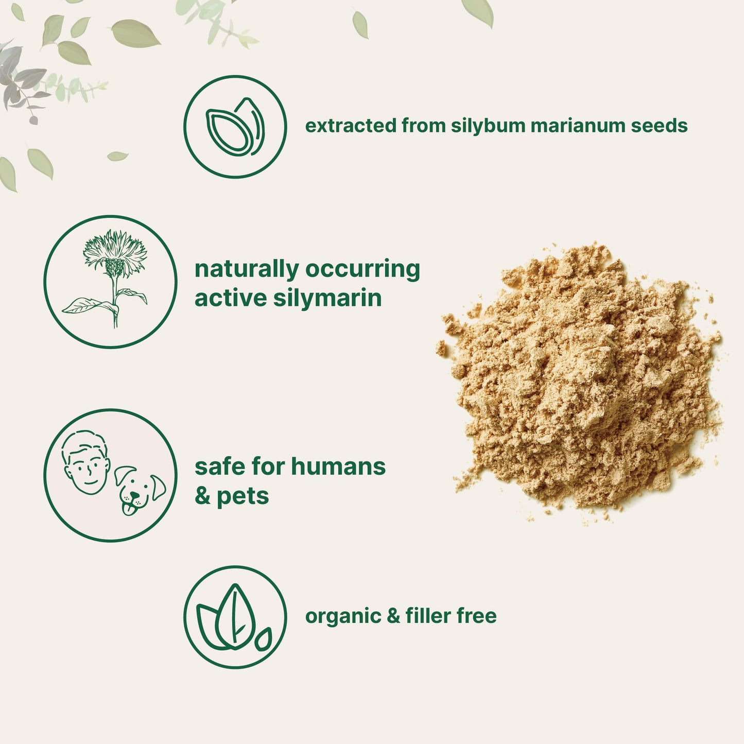 Micro Ingredients Organic Milk Thistle Tea Powder, 3.5 oz, Non-GMO, Vegan, Eco-Friendly Recyclable Bags, 400 Servings