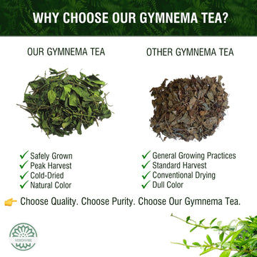 Gymnema Tea Bags For Diabetics - Cold-Dried For Maximum Freshness And Nutrient Retention - 45 Gurmar Tea Bags (45, Gymnema Sylve