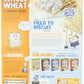 Kellogg'S, Frosted Mini Wheats, Original Value Size, 24Oz Box (Pack Of 3)