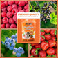 Fruit Pectin Powder 2 Lbs - For Canning Jams And Jellies - Natural, Vegan And Non-Gmo. Premium Bulk Powder. Great For Apple Pie