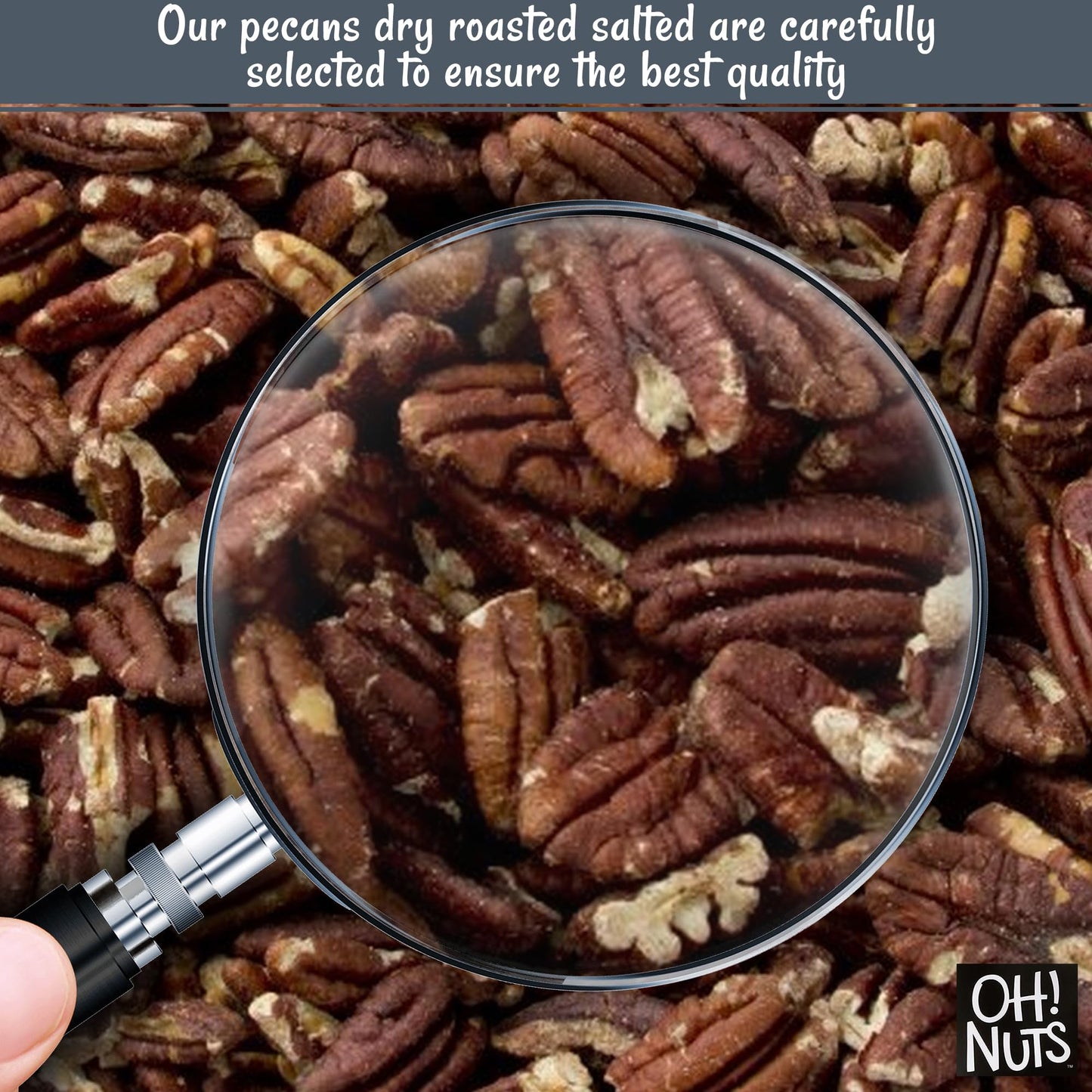 Pecans | Dry Roasted Salted | 2 lb | Oil-Free, All Natural Pecans | Packed in New York Zip-Seal Bag for Exceptional Freshness by