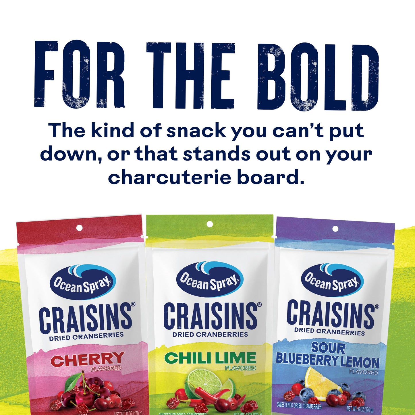 Ocean Spray Craisins Sweetened Dried Cranberries  Chili Lime  6oz Pouch