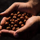 Aznut Raw Hazelnuts Filbert Nuts, Shelled, Gluten Free, Fresh, Premium Quality 100% Natural Non-Gmo Project Certified, Kosher Certified, Great Snacks, Resealable Bag 2 Lb
