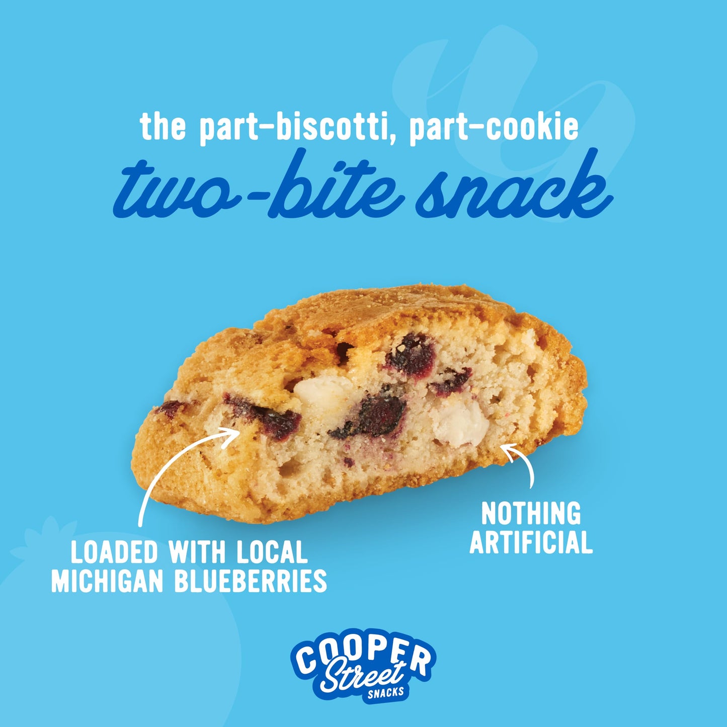 COOPER STREET Twice-Baked Blueberry Lemon Biscotti Cookies – 16 oz Pack of 2, Dairy Free, Peanut Free, Soy Free, Kosher