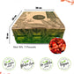 Sensafruit Dried Strawberry | 100% Natural Slices | No Sugar Added, Unsulfured | Gluten Free | Bulk Bag | Direct Producers | Who