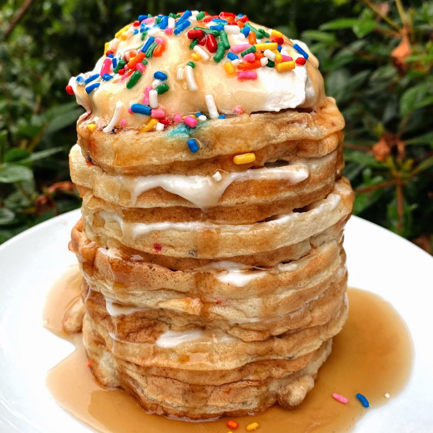Birch Benders Organic Confetti Just-Add-Water Pancake & Waffle Mix, 14 Oz (Pack of 3)