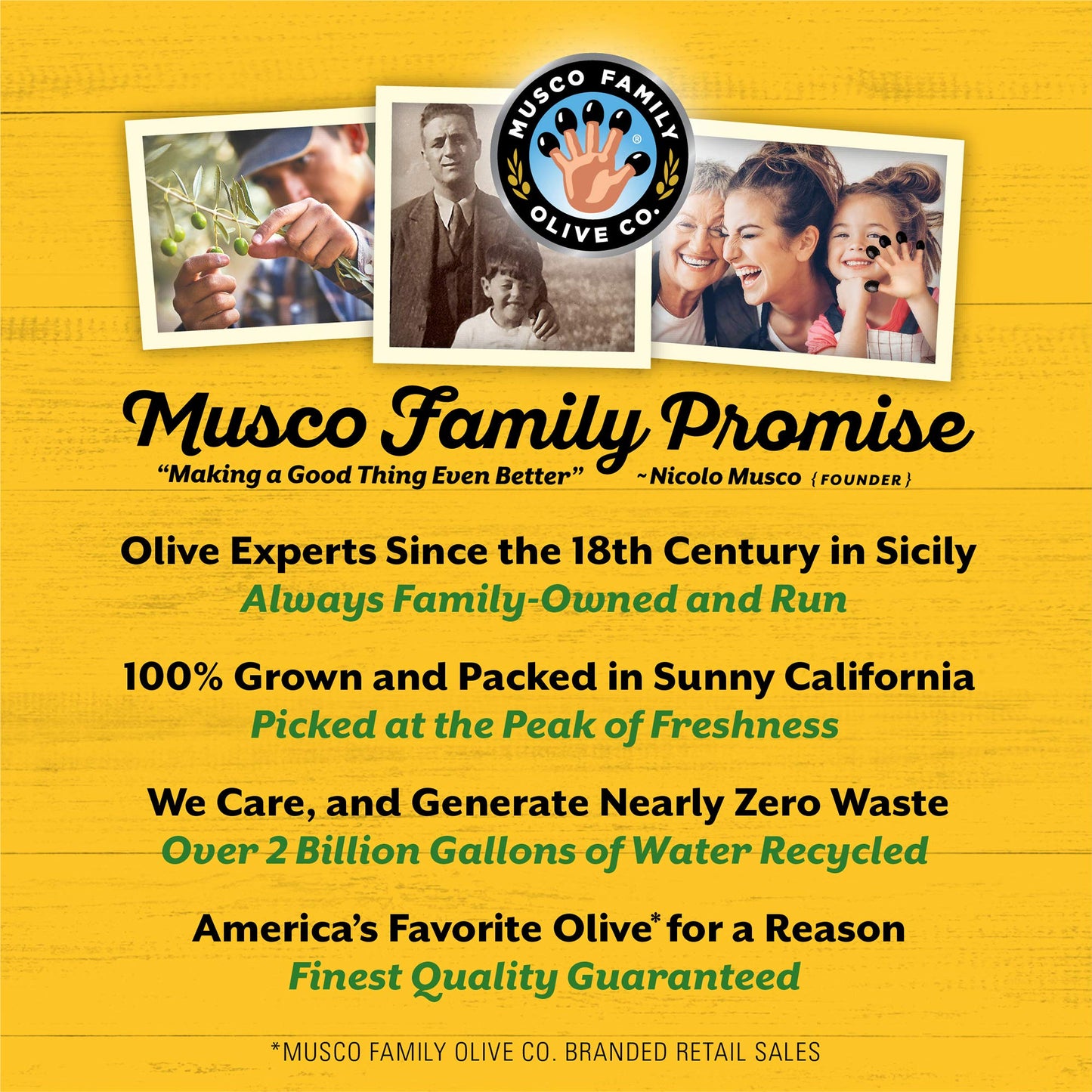 Early California Low-Sodium Medium Ripe Pitted Olives, 12 Pack of 6 oz Cans, Reduced Sodium Large Black Ripe