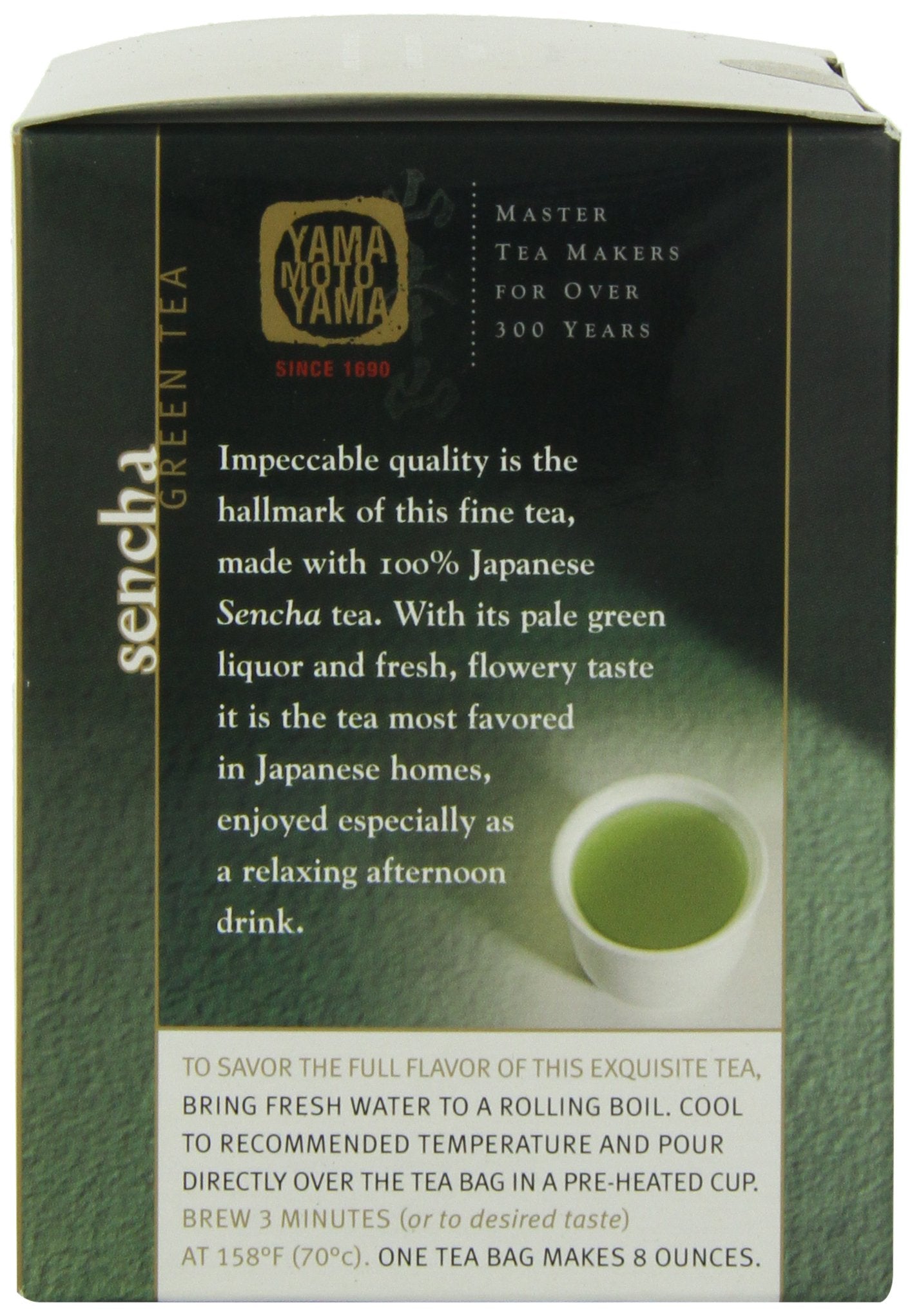 Yamamotoyama Sencha Pyramid Green Tea Bag, 10 Ct. Box