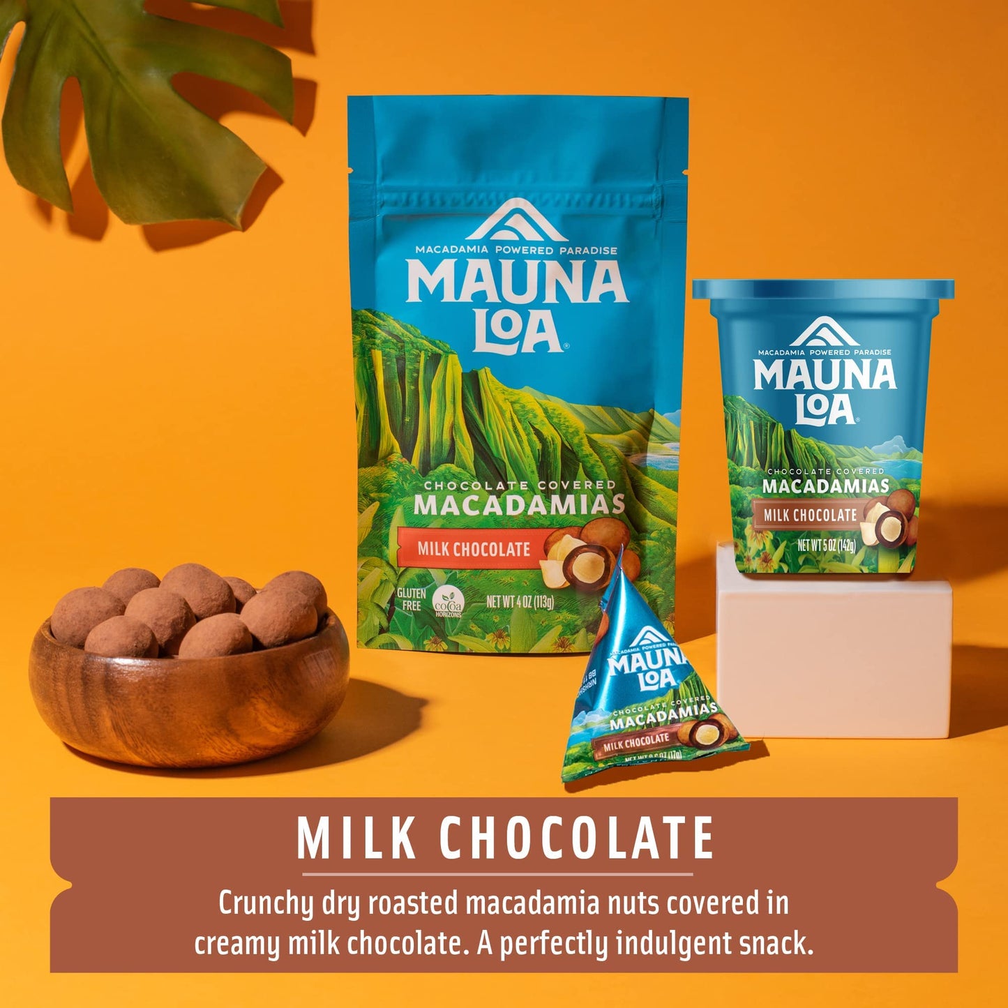Chocolate Covered Macadamia Nuts, Milk Chocolate, Cocoa Dusted, .6 Oz Bag (Pack Of 24)