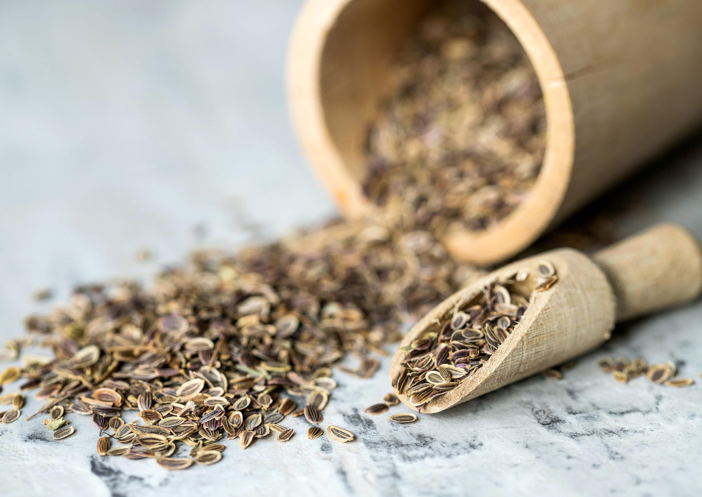 Food To Live - Organic Dill Seeds, 8 Ounces - Whole, Non-Gmo Spice, Non-Irradiated   Seeds, Vegan, Dry, Bulk, High In Dietary Fiber, Calcium, Iron, Copper, Manganese, Magnesium And Zinc