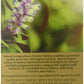 Greenfield Green Melissa Green Tea Collection Finely Selected Speciality Tea 100 Double Chamber Teabags With Tags In Foil Sachets