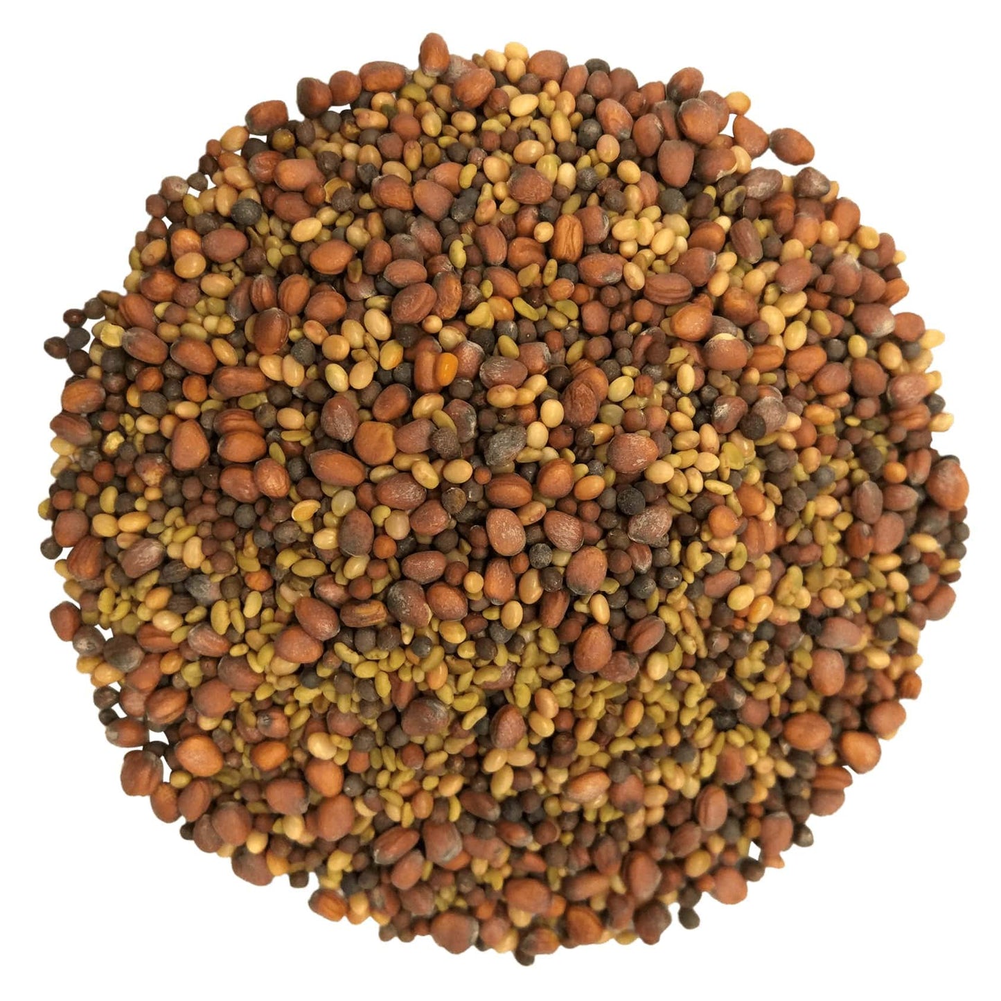 Food To Live Organic Salad Mix Of Sprouting Seeds, 1 Pound - Non-Gmo Broccoli, Radish, Clover, Alfalfa. Rich Germination Rate, N