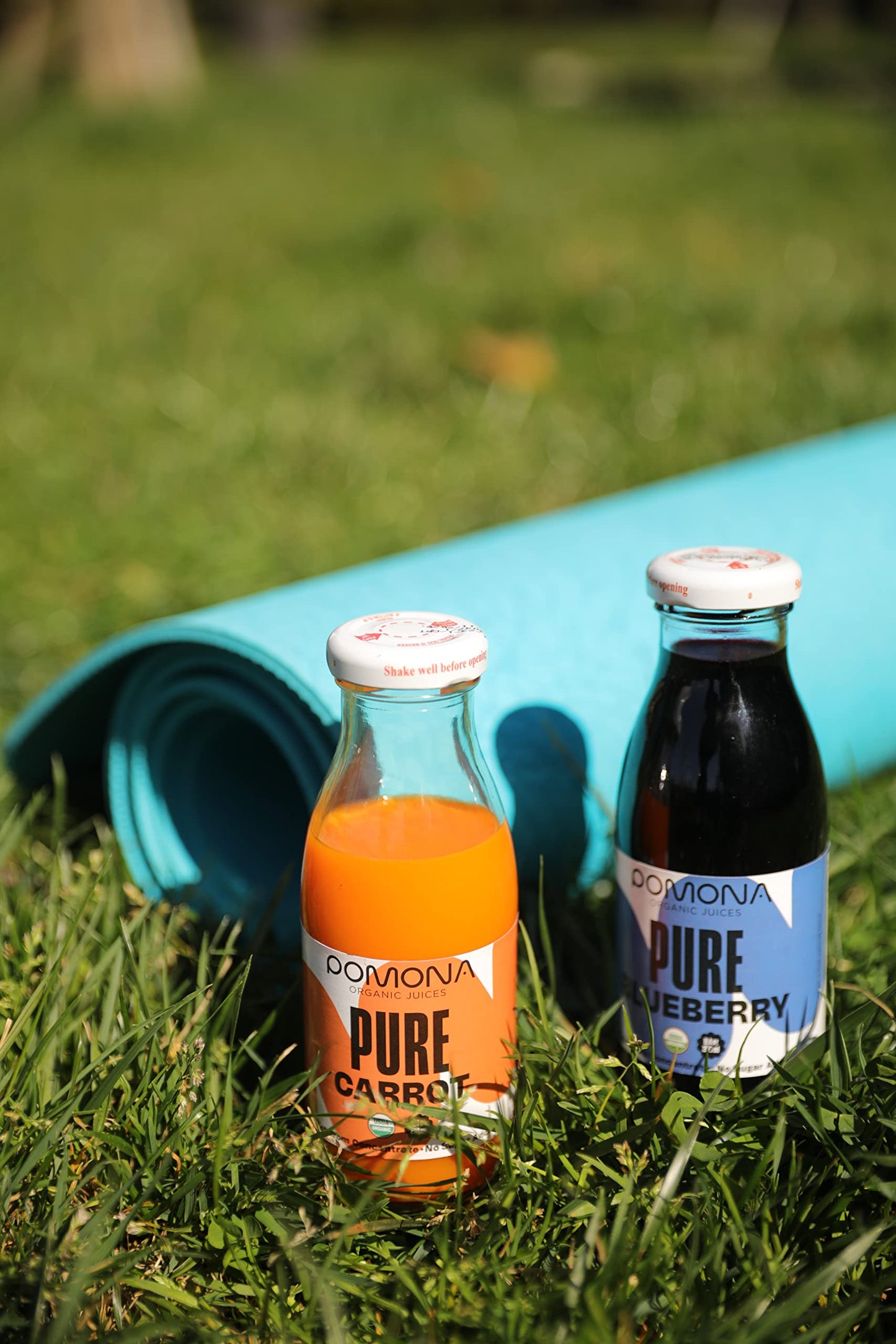 Pomona Organic Juices Pure Blueberry Juice, Cold Pressed Organic Juice, Non-GMO, No Sugar Added, Not from Concentrate, Gluten Fr