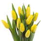 Blooms2Door Flowers - Valentine Collection - Bouquet Of 10 Yellow Tulips (Farm-Fresh) With Vase - Gift For Birthday, Sympathy, Thank You, Valentine, Mother’S Day Fresh Flowers